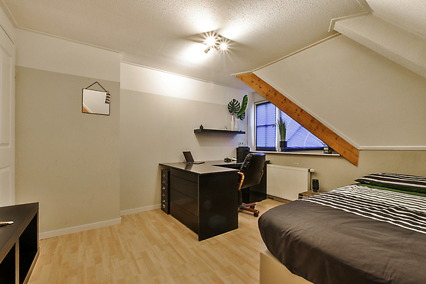 포토 JPG 해외이미지 식물 화분 의자 창문 사람없음 노트북 인테리어 공간 거울 방 침대 책상 해외202309 해외포토 디자인 가구 전자제품 파일형식