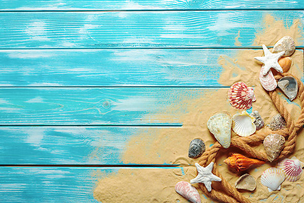 포토 JPG 해외이미지 밧줄 모래 불가사리 사람없음 파란색 조개껍데기 카피스페이스 나무배경 해외202309 해외포토 줄 컬러 백그라운드 조개 극피동물 공백 파일형식