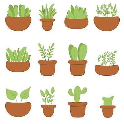 EPS 해외이미지 나무 식물 손 디자인 꽃 화분 화초 선 백그라운드 잎 꽃무늬 일러스트 자연 주택 실내 미술 내부 그래픽 장식 초록색 세트 환경 정원 벚꽃 흰색 낙서 냄비 만화 스케치 수집 심볼 사인 그림 원예 윤곽 내추럴 고립 엘리먼트 스타일 벡터 해외202309 해외일러스트 컬러 무늬 문화예술 취미 건물 신체부위 솥 생태계 파일형식