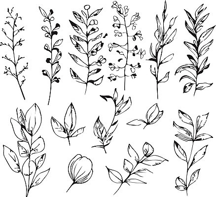 EPS 해외이미지 나무 식물 손 디자인 꽃 선 결혼 백그라운드 잎 꽃무늬 일러스트 자연 잉크 미술 그래픽 장식 초록색 세트 정원 검은색 봄 수확 흰색 나뭇가지 직물 화려 낙서 숲 인쇄 스케치 수집 허브 그림 윤곽 내추럴 고립 엘리먼트 스타일 벡터 해외202309 해외일러스트 계절 컬러 컨셉 무늬 농업 문화예술 이벤트 신체부위 생태계 파일형식