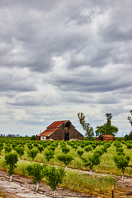 포토 JPG 해외이미지 나무 식물 외관 종교 음식 여행 밭 농업 건축양식 하늘 산 주택 사람없음 건물 빨간색 농장 교회 봄 시골 사찰 역사 헛간 외양간 랜드마크 밭일 옛날 폭풍우 해외202309 해외포토 건축물 계절 건축 산업 컬러 종교건축 비_날씨 자연재해 저장고 파일형식