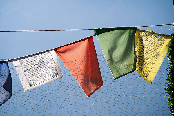 포토 JPG 해외이미지 전통 종교 여행 불교 자연 바람 산 사람없음 관광지 컬러풀 믿음 계곡 기도 깃발 사찰 인도인 심볼 언덕 신성 네팔 수도원 사리탑 신앙심 히말라야 해외202309 해외포토 자연요소 외국인 감정 아시아 컬러 종교건축 날씨 동양인 탑 생태계 파일형식 산맥