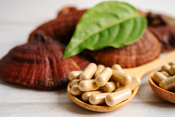 포토 JPG 해외이미지 건강 사람없음 알약 약 숟가락 허브 유기농 영지버섯 해외202309 해외포토 식물 웰빙 의학 수저 버섯 파일형식