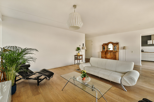 포토 JPG 해외이미지 식물 의자 탁자 사람없음 인테리어 소파 문 공간 방 침대 장식장 해외202309 해외포토 디자인 가구 파일형식