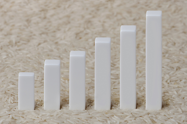 포토 JPG 해외이미지 음식 백그라운드 돈 농업 비즈니스 통계 밥 그래프 사람없음 그래픽 금융 경제 농작물 글로벌 동전 수확 성장 가리킴 바 시장 상품 낟알 가격 계약 무역 상승 밭일 수입 위기 해외202309 해외포토 산업 컨셉 손짓 재산 파일형식