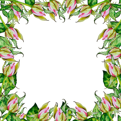 포토 JPG 해외이미지 식물 템플릿 디자인 배너 꽃잎 꽃 분홍색 꽃다발 결혼 백그라운드 잎 꽃무늬 패턴 일러스트 자연 휴가 수채화 프레임 사랑 미술 사람없음 장식 초록색 여름 뷰티 장미 정원 봄 낭만 벚꽃 신용카드 오브젝트 그림 원예 초대 부드러움 손그림 내추럴 고립 엘리먼트 해외202309 해외일러스트 계절 감정 컬러 컨셉 무늬 문화예술 이벤트 취미 금융 감각 생태계 파일형식