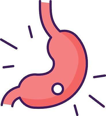 EPS 해외이미지 일러스트 의학 사람없음 위_내장기관 위염 해외202309 해외일러스트 장기_의학 염증 파일형식 벡터