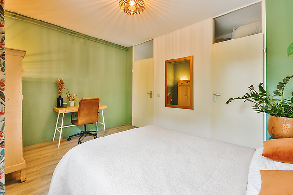 포토 JPG 해외이미지 식물 화분 의자 조명 사람없음 초록색 인테리어 문 공간 거울 방 침대 장롱 책상 해외202309 해외포토 디자인 컬러 가구 파일형식