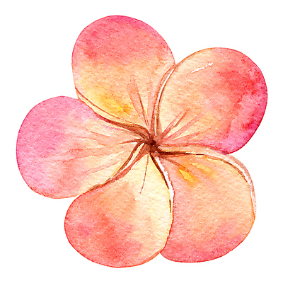 포토 JPG 해외이미지 식물 디자인 꽃잎 꽃 분홍색 백그라운드 꽃무늬 오렌지 일러스트 자연 미술 사람없음 그래픽 장식 빨간색 뷰티 노란색 파티 정원 봄 벚꽃 흰색 나뭇가지 신선 개화 스케치 그림 하와이 향기 발리 손그림 남쪽 내추럴 고립 이국적 알로하 해외202309 해외일러스트 나무 계절 컬러 섬 무늬 과일 문화예술 이벤트 미국 인사 방향 생태계 냄새 인도네시아 파일형식