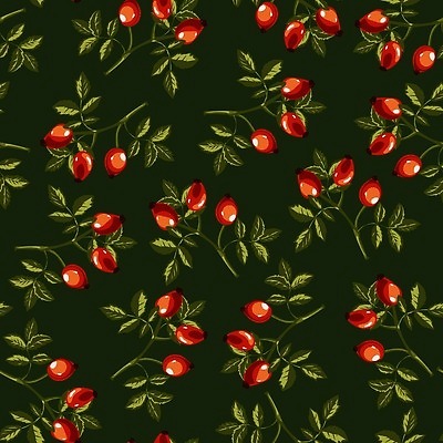 EPS 해외이미지 나무 식물 디자인 계절 열매 꽃잎 꽃 꽃다발 백그라운드 잎 꽃무늬 패턴 과일 일러스트 자연 건강 빨간색 초록색 여름 장미 정원 봄 벚꽃 가을 나뭇가지 개화 가시 개 허브 비타민 내추럴 고립 꽃수술 숙성 벡터 해외202309 해외일러스트 컬러 무늬 포유류 생태계 영양소 파일형식