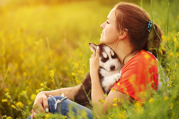 포토 JPG 해외이미지 동물 백인 라이프스타일 손 여자 행복 감정 새끼 포옹 자연 놀이 키스 함께함 사랑 한명 미소 성인 야외 초록색 여름 반려동물 햇빛 뷰티 귀여움 맑음 일몰 우정 흰색 개 강아지 주인 송곳니 돌봄 유래 해외202309 해외포토 서양인 1 계절 컬러 컨셉 포유류 안기 모션 날씨 표정 사람 생활 신체부위 친구 태양 노을 치아 애정표현 생태계 파일형식