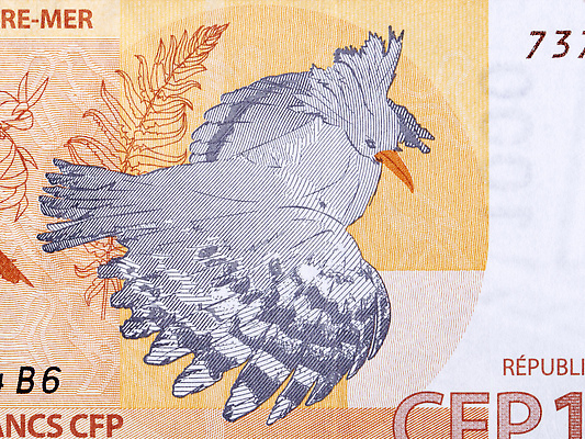 포토 JPG 해외이미지 동물 지폐 돈 비즈니스 조류 사람없음 금융 경제 쪽지 태평양 프랑스어 해외202309 해외포토 문자 바다 재산 파일형식