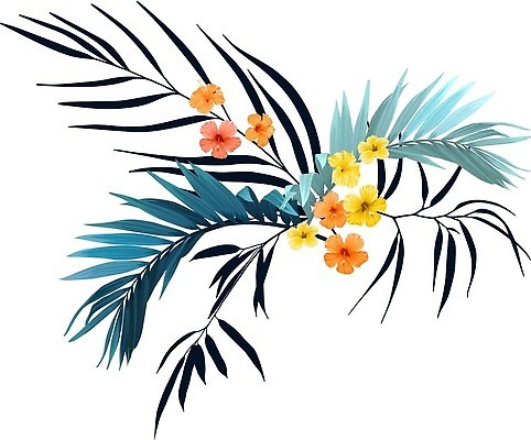 EPS 해외이미지 식물 꽃 잎 꽃무늬 일러스트 손바닥 이국적 히비스커스 해외202309 해외일러스트 손 무늬 파일형식 벡터