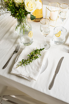 포토 JPG 해외이미지 식물 접시 꽃 조각 포크 잎 와인잔 초 식탁 잔 사람없음 장식 물 수건 와인 꽃병 식탁보 나이프 고급 상차림 레몬 양초꽂이 해외202309 해외포토 자연요소 식기 컨셉 술잔 과일 탁자 주류 위생용품 칼 꽂이 파일형식