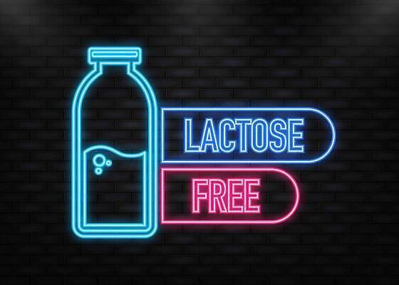 EPS 해외이미지 배너 일러스트 타이포그라피 사람없음 화려 병 심볼 네온 글루텐프리 글루틴 해외202309 해외일러스트 문자 식기 컨셉 파일형식 벡터