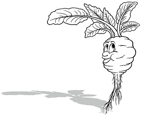 EPS 해외이미지 클립아트 식물 캐릭터 얼굴 음식 잎 채소 일러스트 자연 흑백 건강 요리 미소 만화 스케치 그림 윤곽 뿌리 손그림 비타민 고립 색칠공부 영양분 콜라비 벡터 해외202309 해외일러스트 일러캐릭터 촬영기법 표정 미술 신체부위 학습 색칠 생태계 영양소 파일형식