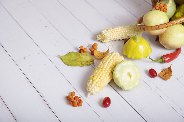 포토 JPG 해외이미지 식물 계절 음식 백그라운드 단풍 잎 농업 다이어트 채소 재료 자연 건강 옥수수 요리 사람없음 장식 빨간색 초록색 농작물 농장 바구니 마을 정원 수확 시골 신선 사과 9월 먹기 유기농 날것 후추 추수감사절 내추럴 밭일 숙성 해외202309 해외포토 웰빙 산업 기독교 컬러 과일 모션 곡류 날짜 향신료 생태계 파일형식