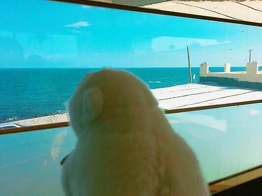 포토 JPG 해외이미지 바다 하늘색 손가락 휴가 사람없음 노란색 엄지손가락 양발 해외202309 해외포토 손 컬러 파란색 파일형식