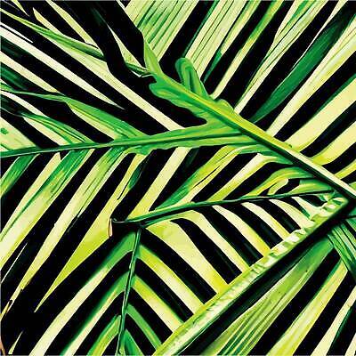 EPS 해외이미지 나무 식물 디자인 백그라운드 잎 꽃무늬 패턴 일러스트 포장 자연 벽지 조류 프레임 바나나 건강 손바닥 세로 초록색 빛 세트 뷰티 파티 유행 줄무늬 공백 젖음 수확 흰색 숲 인쇄 그림 하와이 초대 브라질 이국적 스타일 벡터 디테일 해외202309 해외일러스트 동물 손 꽃 컬러 무늬 농업 과일 이벤트 미국 남아메리카 생태계 파일형식