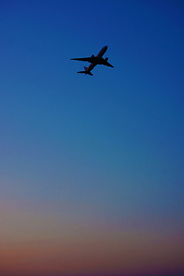 포토 JPG 해외이미지 식물 실루엣 날개 하늘 비행기 그림자 사람없음 야외 빛 일본 일몰 바퀴 깃털 꼬리 활주로 제트기 엔진 착륙 해외202309 해외포토 아시아 길 항공교통 대중교통 촬영기법 노을 파일형식