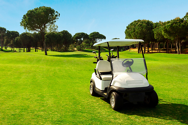 포토 JPG 해외이미지 나무 구름 스포츠 백그라운드 밭 골프 골프장 자동차 자연 놀이 하늘 파노라마 풍경 잔디 취미 사람없음 야외 초록색 파란색 햇빛 맑음 일몰 카트 골프채 운전 게임 소나무 강의 클럽 휴양지 유모차 칠면조 페어웨이 해외202309 해외포토 자연요소 식물 육상교통 컬러 농업 스포츠시설 모션 조류 날씨 골프용품 촬영기법 태양 구기 노을 장소 아기용품 생태계 파일형식
