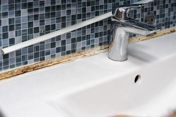 포토 JPG 해외이미지 벽 노동자 아파트 주택 실내 건강 사람없음 물 검은색 목욕 방 습기 젖음 욕실 업무 오염 수리 닫기 황폐 빨래 위험 청소 타일 묘사 문제 주인 곰팡이 그런지 해로움 해외202309 해외포토 자연요소 직업 컬러 컨셉 가사 모션 내부 건물 청결 작업 파일형식