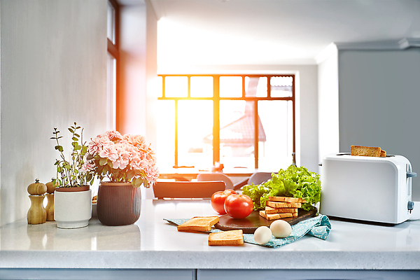 포토 JPG 해외이미지 채소 과일 식재료 창문 사람없음 햇빛 계란 꽃병 아침식사 식빵 토스트 토스트기 해외202309 해외포토 꽃 빵 태양 알 식사 가전제품 파일형식