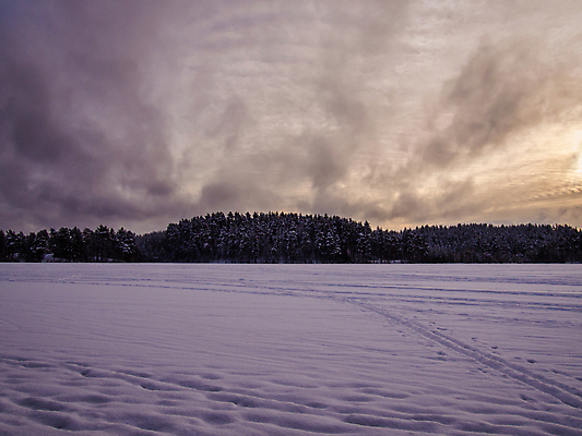 포토 JPG 해외이미지 나무 계절 공원 백그라운드 크리스마스 겨울 자연 하늘 아침 동화 날씨 휴가 새로움 파노라마 사람없음 야외 파란색 빛 뷰티 환경 냉동 얼음 추위 안개 흰색 나뭇가지 소나무 숲 12월 연도 서리 러시아 마법 눈보라 1월 내추럴 2월 폭설 눈내림 해외202309 해외포토 주간 자연요소 식물 공공시설 기념일 유럽 컬러 컨셉 눈_날씨 촬영기법 날짜 자연재해 생태계 파일형식