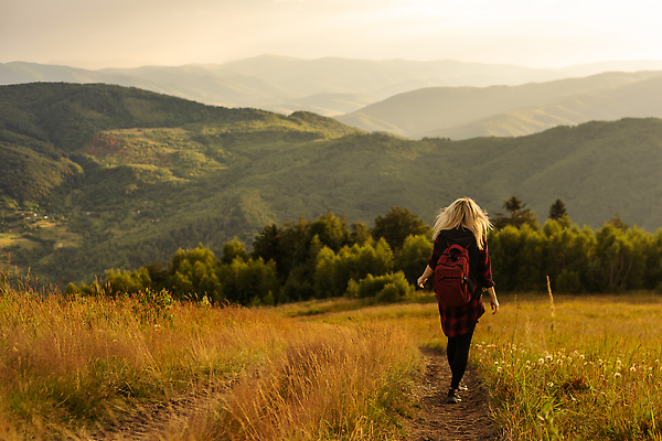 포토 JPG 해외이미지 나무 여자 길 여행 비즈니스 배낭 산 한명 성인 야외 뒷모습 여행객 걷기 하이킹 풀잎 숲 백패커 하이커 성인여자한명만 해외202309 해외포토 식물 1 뷰포인트 잎 가방 모션 레저 사람 풀_식물 여자한명만 성인여자만 파일형식