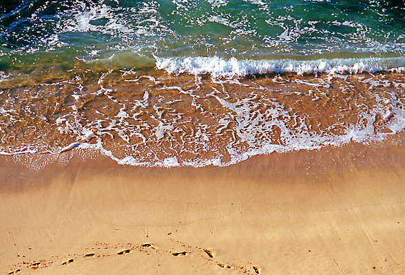 포토 JPG 해외이미지 모래 파도 자연 사람없음 서핑 캘리포니아 태평양 해외202309 해외포토 바다 미국 수상스포츠 생태계 파일형식