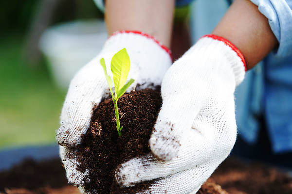 포토 JPG 해외이미지 나무 식물 손 교육 지구 컨셉 잎 농업 비즈니스 자연 사람없음 초록색 세계 글로벌 지구본 환경 재활용 행성 에너지 성장 보호 숲 에코 유기농 생태계 생물학 커뮤니티 바둑 유지 내추럴 개발 경영 돌봄 생태학 소셜 응답 해외202309 해외포토 웰빙 산업 컬러 모션 놀이 신체부위 우주 친환경 파일형식