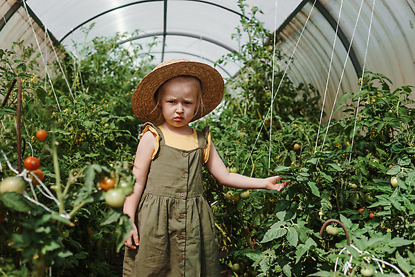 포토 JPG 해외이미지 식물 모자 계절 어린이 음식 농업 토마토 채소 자연 건강 한명 사람 야외 빨간색 초록색 여름 태양 농장 환경 정원 봄 수확 가을 신선 선택 달콤 맛 작음 수집 먹기 유기농 밀짚 내추럴 숙성 온실 핸드메이드 해외202309 해외포토 자연요소 1 웰빙 잡화 산업 컬러 컨셉 모션 짚 크기 생태계 파일형식