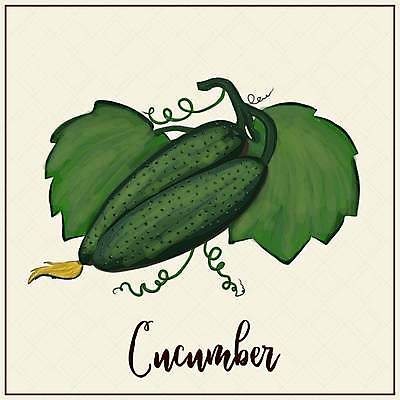 EPS 해외이미지 식물 라이프스타일 디자인 포스터 음식 여행 백그라운드 농업 다이어트 토마토 채소 과일 일러스트 재료 자연 오이 수박 건강 초록색 세트 정원 성장 신선 신용카드 사과 농부 상품 인쇄 만화 수집 파인애플 유기농 원예 손그림 내추럴 거름 고립 밭일 온실 채식주의자 벡터 비건 해외202309 해외일러스트 직업 웰빙 산업 컬러 취미 생활 금융 열대과일 생태계 채식 파일형식