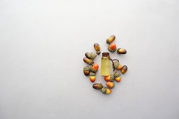 포토 JPG 해외이미지 식물 자연 유리 휴식 건강 사람없음 치료 초록색 약 스파 견과류 마사지 허브 향기 향 스킨케어 성분 아로마테라피 테라피 에센스 해외202309 해외포토 컬러 컨셉 의학 재질 뷰티 화장품 생태계 냄새 파일형식