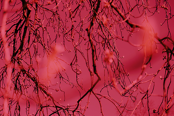 포토 JPG 해외이미지 전통 디자인 컬러 백그라운드 패턴 추상 새로움 사람없음 그래픽 장식 유행 우주 페인트 신용카드 발표 뉴스 팔레트 계획 자주색 수집 연도 질감 레이아웃 고체 인기 해외202309 해외포토 컨셉 무늬 금융 파일형식