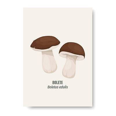 EPS 해외이미지 클립아트 디자인 커플 어린이 음식 채소 일러스트 자연 미술 버섯 직물 신용카드 플랫 숲 인쇄 만화 유기농 날것 손그림 고립 식용 채식주의자 벡터 비건 해외202309 해외일러스트 웰빙 관계 문화예술 사람 금융 생태계 채식 파일형식