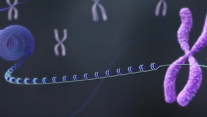 포토 JPG 해외이미지 교육 과학 해부 세포 건강 사람 사람없음 약 3D 진화 질병 DNA 생명공학 생물학 염색체 암 단백질 마약 복원 치유 노화 해외202309 해외포토 컨셉 의학 소방 디지털합성 영양소 파일형식