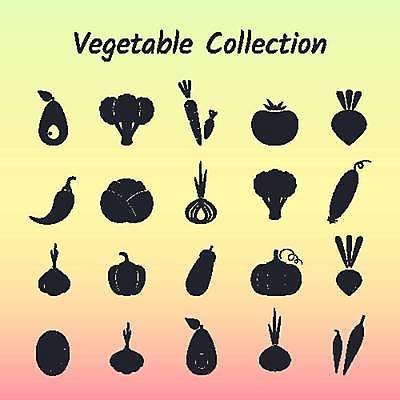 EPS 해외이미지 실루엣 선 농업 토마토 채소 일러스트 전구 자연 고추 호박 가지 양파 오이 감자 파프리카 건강 마늘 세트 농장 검은색 당근 수확 신선 시장 플랫 브로콜리 수집 심볼 사인 양배추 윤곽 스쿼시 비트 엘리먼트 총각무 할라피뇨 벡터 해외202309 해외일러스트 산업 스포츠 컬러 뿌리채소 촬영기법 구기 무 생태계 파일형식