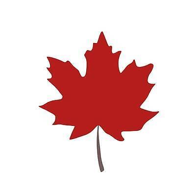 EPS 해외이미지 나무 식물 손 디자인 배너 계절 실루엣 종이 컬러 백그라운드 단풍 잎 캐나다 겨울 꽃무늬 패턴 오렌지 일러스트 비즈니스 학교 자연 추상 프레임 사랑 미술 그래픽 장식 빨간색 물 태양 유행 봄 흰색 심볼 질감 10월 내추럴 고립 그런지 엘리먼트 벡터 국경 해외202309 해외일러스트 자연요소 교육 꽃 감정 북아메리카 무늬 과일 문화예술 촬영기법 신체부위 날짜 생태계 파일형식