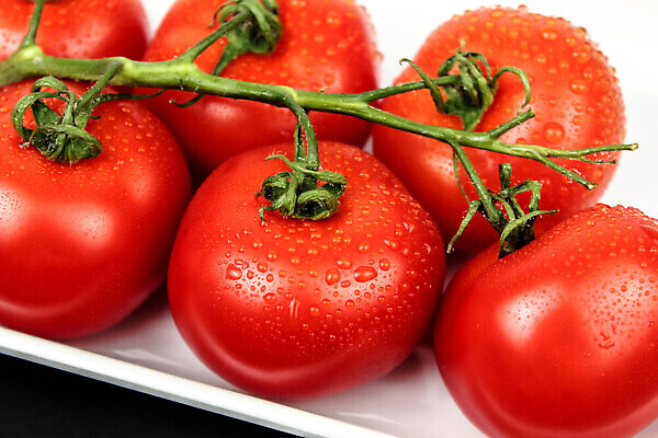 포토 JPG 해외이미지 식물 접시 음식 줄기 컬러 백그라운드 농업 토마토 채소 과일 재료 자연 건강 요리 사람없음 빨간색 초록색 물 빛 주방 샐러드 성장 물방울 나뭇가지 신선 그룹 시장 다발 오브젝트 상쾌 유기농 날것 건강식 내추럴 숙성 채식주의자 해외202309 해외포토 자연요소 나무 식기 웰빙 감정 산업 생태계 채식 파일형식