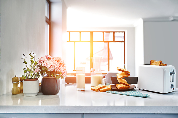 포토 JPG 해외이미지 식재료 창문 사람없음 햇빛 꽃병 우유 아침식사 식빵 토스트 토스트기 해외202309 해외포토 꽃 빵 유제품 태양 식사 가전제품 파일형식