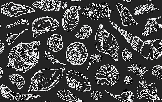 EPS 해외이미지 모양 식물 동물 디자인 실루엣 선 바다 과학 백그라운드 잎 패턴 일러스트 부분 조개 나선형 미술 세트 검은색 칠판 회색 수확 껍질 바위 흰색 수학 역사 만화 스케치 수집 문신 심볼 그림 분필 박물관 달팽이 손그림 화석 선사시대 내추럴 고고학 고립 앵무조개 옛날 벡터 해외202309 해외일러스트 교육 컬러 무늬 농업 교과목 문화예술 어패류 연체동물 촬영기법 초크 파일형식