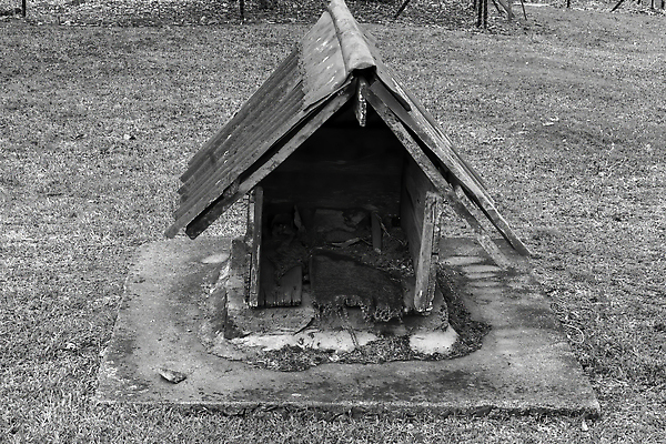 포토 JPG 해외이미지 동물 잎 건축양식 지붕 주택 흑백 잔디 사람없음 야외 건물 목재 빨간색 반려동물 정원 수확 역사 개 호주 작음 담요 철 질감 시멘트 찢어짐 판 골절 그런지 뒤뜰 땅바닥 옛날 콘크리트 해외202309 해외포토 나무 식물 건축물 건축 컬러 농업 재료 포유류 의학 모션 바닥 촬영기법 오세아니아 크기 파일형식
