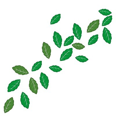 EPS 해외이미지 식물 실루엣 음식 백그라운드 잎 꽃무늬 일러스트 자연 추상 건강 초록색 세트 새싹 정원 재활용 나뭇가지 신선 차 민트 허브 심볼 사인 에코 유기농 아로마 향 내추럴 고립 엘리먼트 채식주의자 벡터 비건 스피아민트 해외202309 해외일러스트 나무 웰빙 꽃 음료 컬러 무늬 촬영기법 환경 친환경 생태계 채식 파일형식
