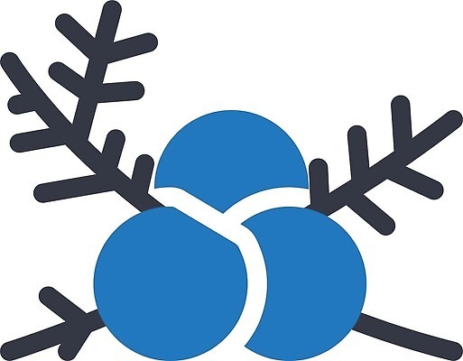 EPS 해외이미지 나무 식물 디자인 열매 꽃 선 음식 잎 과일 일러스트 자연 건강 요리 초록색 파란색 약 검은색 나뭇가지 신선 달콤 허브 심볼 사인 유기농 윤곽 아로마 내추럴 숙성 향나무 벡터 해외202309 해외일러스트 웰빙 컬러 의학 맛 생태계 파일형식