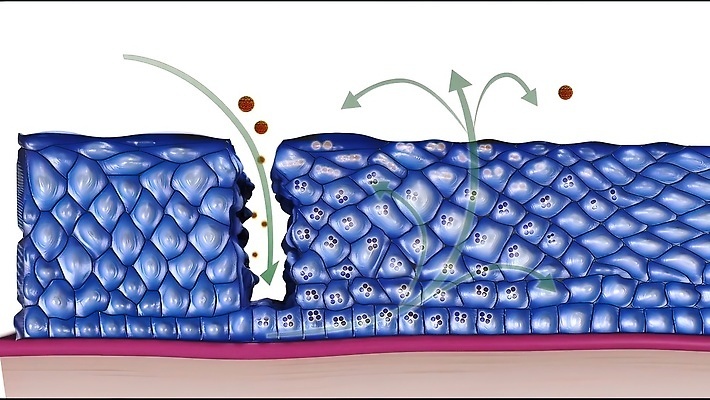 포토 JPG 해외이미지 모델 여자 표면 생물 세포 건강 사람 사람없음 컬러풀 3D 바이러스 질병 DNA 피부 척추 생물학 감염 자궁 암 테라피 더스트파티클 해외202309 해외포토 교육 컬러 의학 뼈 신체부위 뷰티 장기_의학 생명공학 디지털합성 파일형식