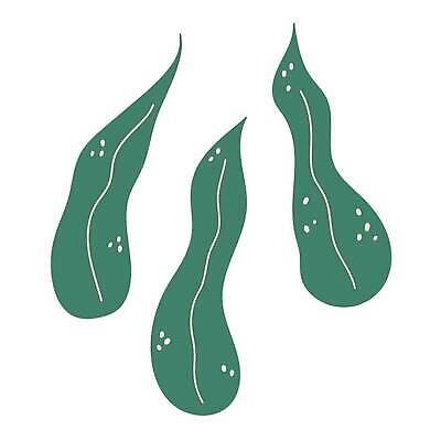 EPS 해외이미지 식물 잎 꽃무늬 일러스트 장난 자연 손바닥 그래픽 장식 초록색 하와이 부드러움 고립 마다가스카르 엘리먼트 이국적 벡터 알로하 해외202309 해외일러스트 손 꽃 컬러 무늬 미국 인사 감각 생태계 파일형식