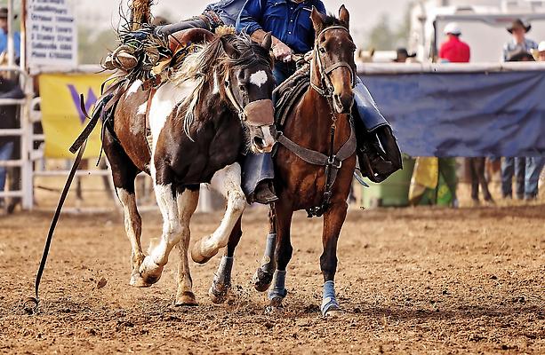 포토 JPG 해외이미지 동물 남자 밧줄 스포츠 포즈 모션 부츠 이벤트 사람없음 달러 점프 가축 경쟁 경기장 공연 시골 자신감 거친 승마 카우보이 호주 승차 주식 위험 속도 먼지 안장 로데오 라이더 서쪽 어려움 오지 해외202309 해외포토 감정 줄 신발 컨셉 돈 스포츠시설 사람 금융 오세아니아 방향 파일형식