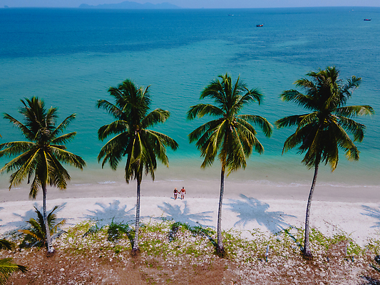 포토 JPG 해외이미지 나무 전통 모래 바다 섬 여행 태국 자연 휴가 주택 안테나 손바닥 야외 두명 목재 물 여행객 만 보트 고급 빌라 시골집 휴양지 코코넛 방갈로 석호 항공촬영 드론 안다만 터키석 파라다이스 해외202309 해외포토 자연요소 식물 손 아시아 뷰포인트 컨셉 배_교통 과일 재료 통신 숙소 사람 건물 장소 보석 생태계 파일형식