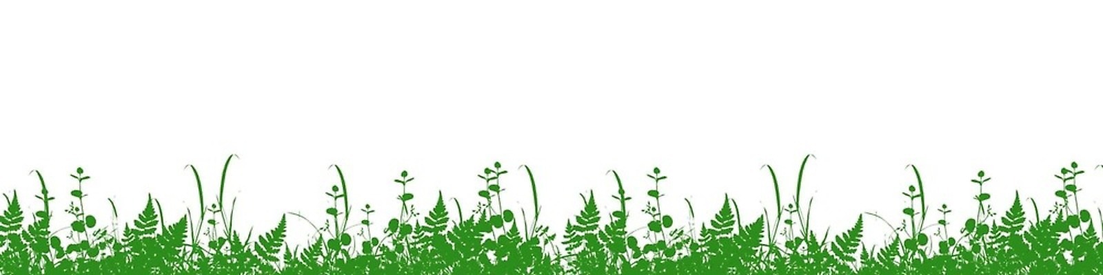 EPS 해외이미지 식물 디자인 계절 공원 꽃 실루엣 컬러 백그라운드 잎 꽃무늬 패턴 밭 일러스트 자연 벽지 추상 풍경 잔디 야외 그래픽 장식 초록색 여름 환경 정원 검은색 봄 흰색 숲 허브 그림 에코 유기농 질감 내추럴 고립 생태학 엘리먼트 벡터 반복 국경 해외202309 해외일러스트 웰빙 공공시설 교육 무늬 농업 촬영기법 생태계 파일형식